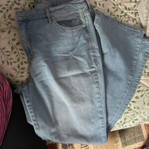 Gloria Vanderbilt rail straight